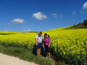 The colours of the Camino are spectacular.
