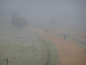 Pilgrims in the mist (apologies to Dian Fossey)
